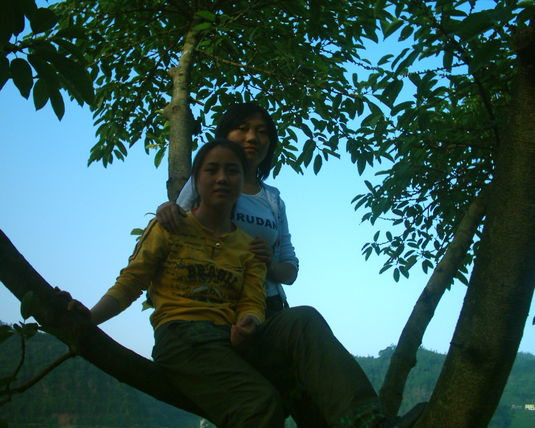 2006  (102)